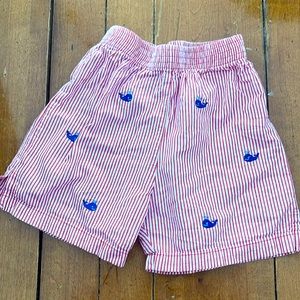 Adorable seersucker classic white shorts EUC 4